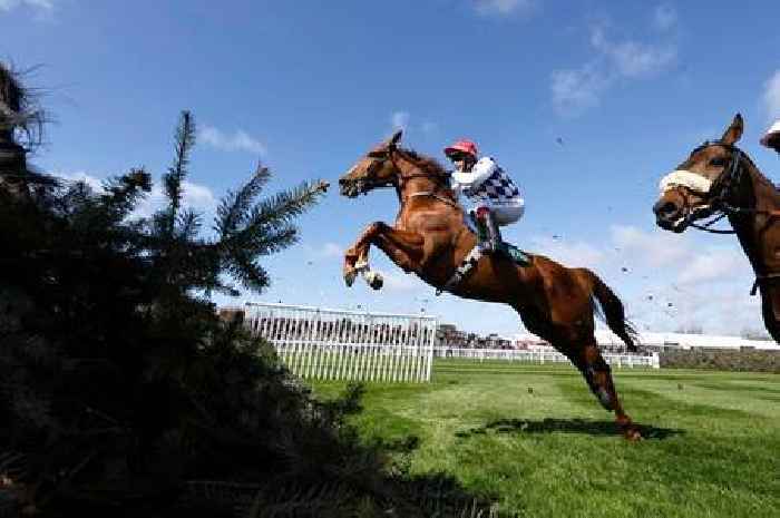 Watch live horse racing for free* with Racing TV -worth over £35