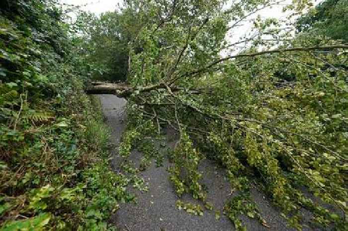 Cornwall firefighters attends over a dozen incidents during Storm Herminia