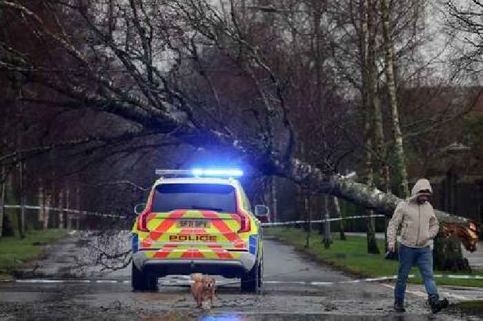 Storm Herminia to batter UK with 80mph winds - full list of every area with Met Office warning