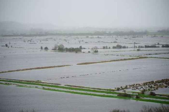 Flood alerts issued across Somerset amid heavy rainfall