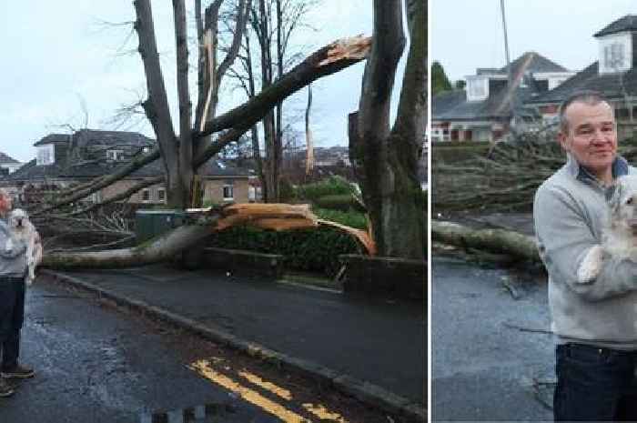 Deaf dog narrowly escapes death in Storm Éowyn after tree crashes into garden