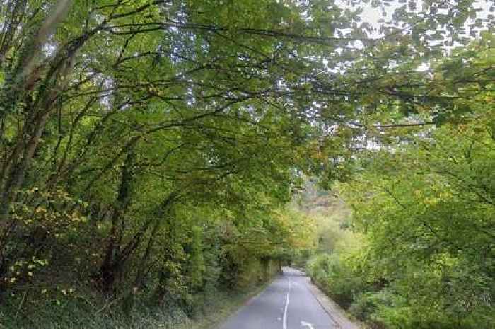 Daytime road closures on major Derbyshire route to fell dozens of diseased trees