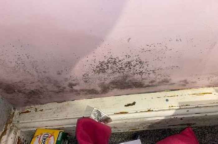 Couple expecting a baby 'really frustrated' with mouldy Nottingham City Council home