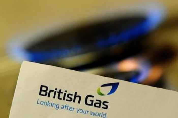 British Gas warns UK households to move three items to freezers immediately