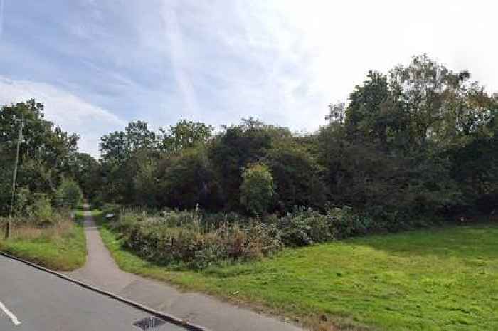 'Confused and distressed' Kent assault victim found with serious head injuries near woods