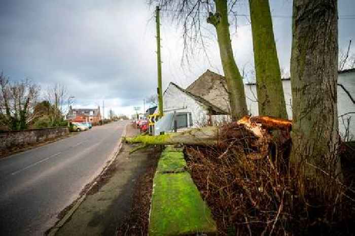 Hundreds of Dumfries and Galloway homes face fourth day without power as Storm Eowyn clean-up continues