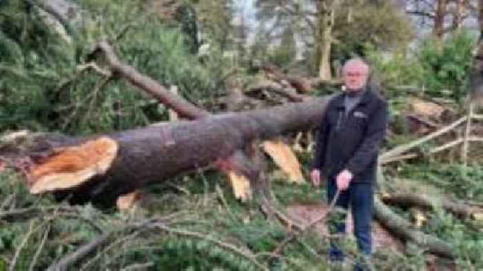 Botanical Garden devastated at losing Edinburgh's tallest tree in Storm Éowyn