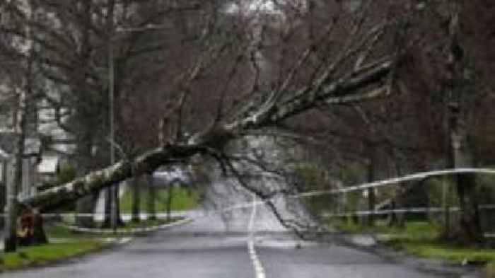 Thousands still without power as Storm Éowyn clean-up continues