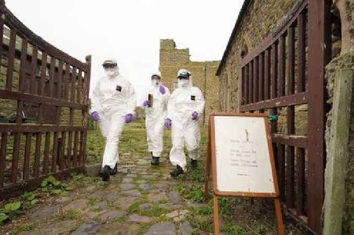 First human bird flu case in England since May confirmed amid national animal outbreak