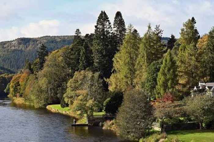 Dream wildlife job near Scotland's 'best place to live' with free accommodation