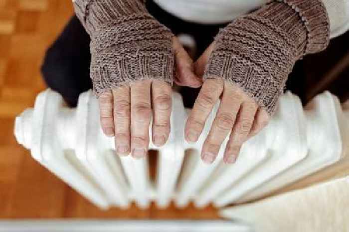 New call for £100 monthly winter heating payment for people over 60 or long-term sick