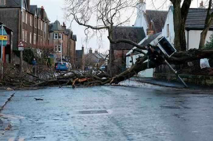 Rogue traders trying to 'cash-in' in on devastation left behind from Storm Éowyn