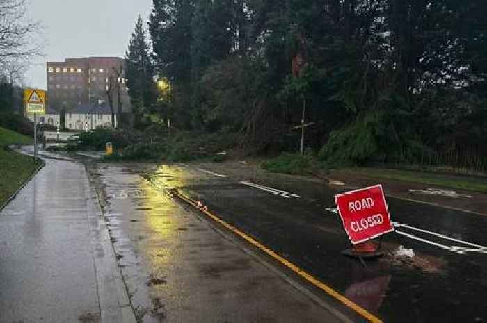 South Lanarkshire Council chief lays bare extent of damage as clean up from Storm Eowyn continues