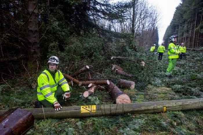 Storm Eowyn carnage continues as thousands still left without power