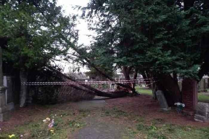 Storm Eowyn damage sparks safety warnings for West Lothian cemeteries and parks