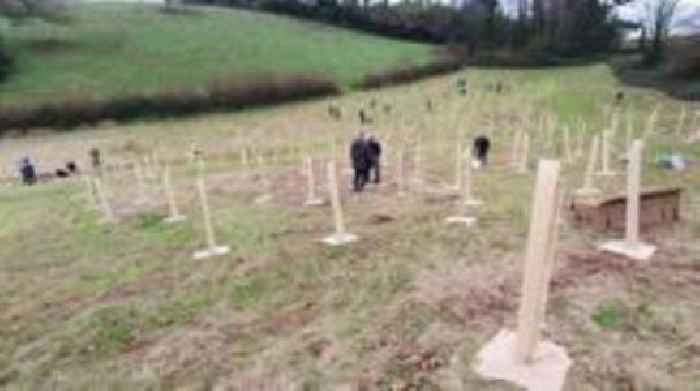 Thousands of trees planted to create Devon rainforest