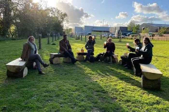 Volunteers wanted for major tree-planting mission to transform Tiverton’s green spaces