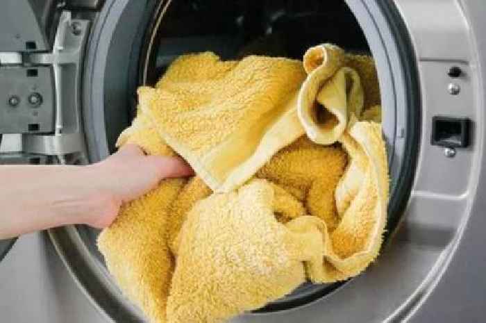 British Gas, OVO, EDF, Octopus, EON customers warned 'avoid' using washing machine in three-hour period