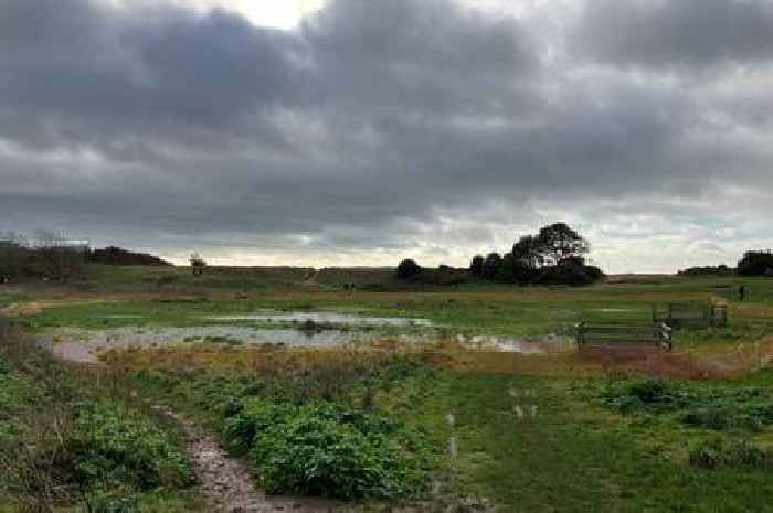 Live: Urgent warning after sewage discharged at Exmouth nature reserve