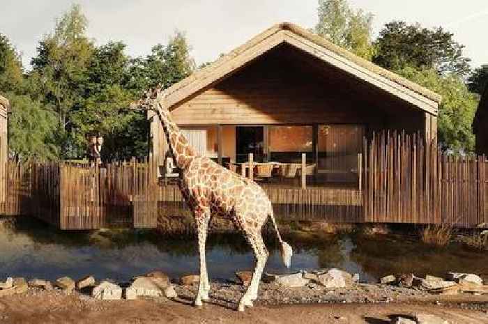 Chester Zoo showcases first ever luxury overnight safari lodges with amazing views of animals