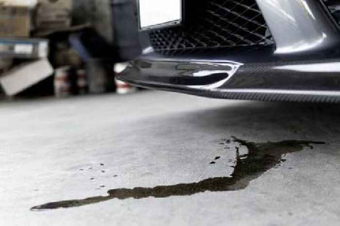 Remove oil stains from driveway with 1 household item