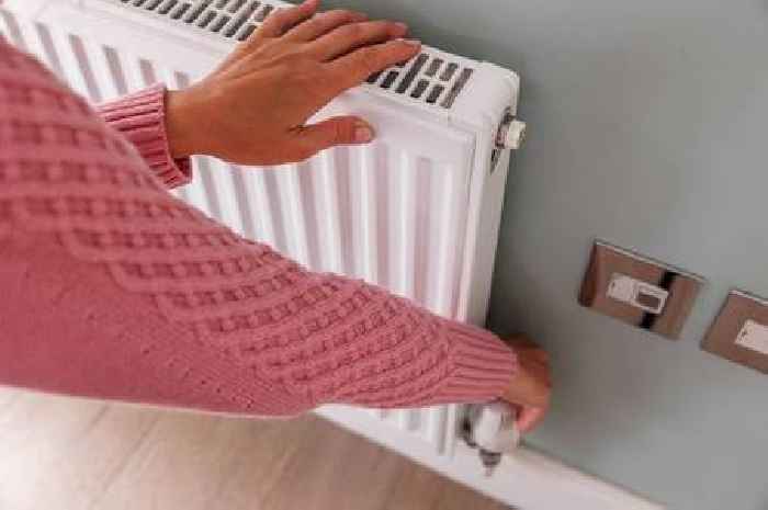 Welsh Government progress towards fuel poverty target 'too slow'