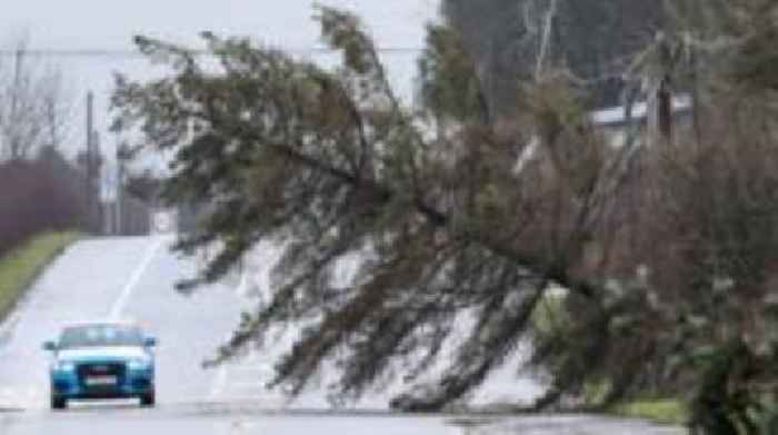 About 11,000 remain without power in NI after Storm Éowyn