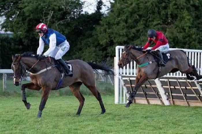 Lucky punter hits jackpot at Plumpton races with stunning five-figure win