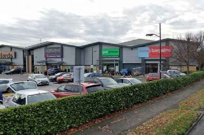 Empty Surrey Pets at Home could be transformed into discount megastore