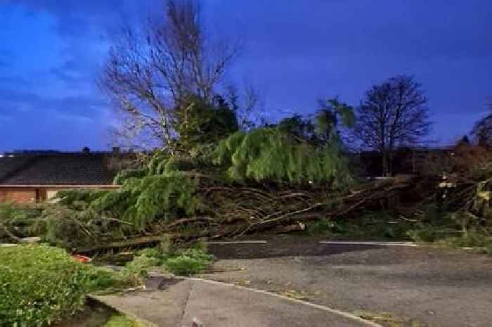 North Lanarkshire Council asking public to be patient as Storm Eowyn clean-up continues