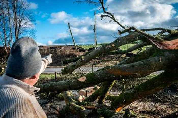 Telegraph pole launched into car after lorry hit electricity cables hanging over Dumfries and Galloway road