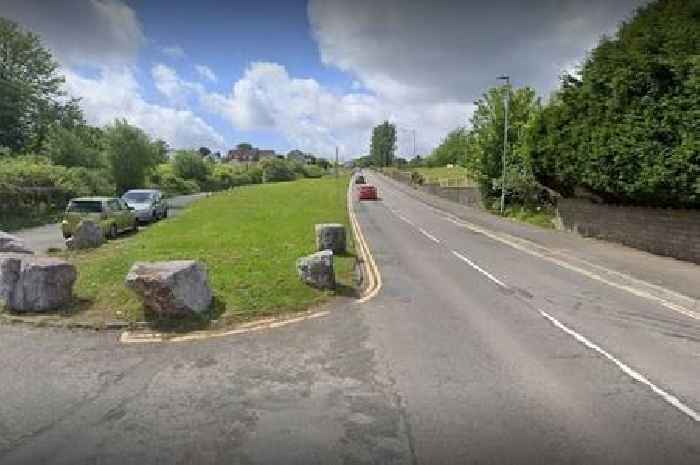 Police investigate as driver 'seen approaching pupils near Swansea school'