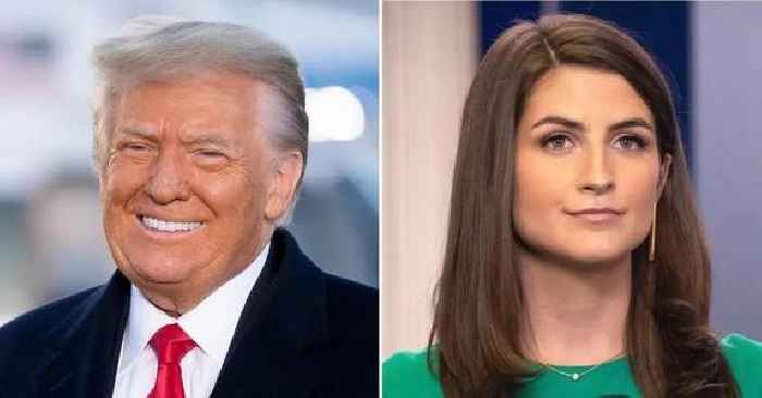 President Donald Trump Snaps at CNN's Kaitlan Collins Over DEI Inquiry at Washington, D.C., Plane Crash Briefing: 'Not a Smart Question'