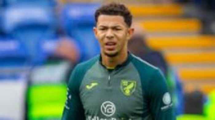 Newport sign Norwich defender Warner