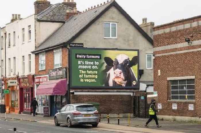 PETA’s shocking billboard tells farmers to ditch dairy and ‘moove on’