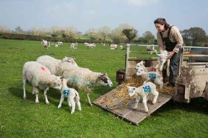 Shocking new study exposes hidden health crisis among women in farming