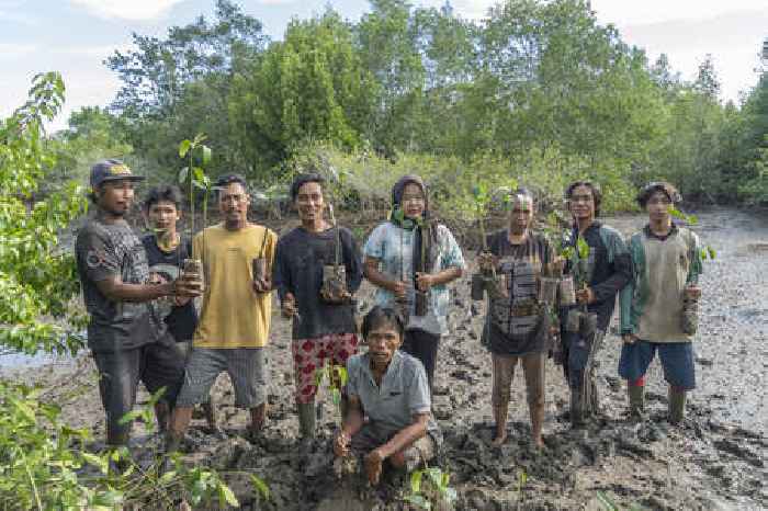  World Wetlands Day – Introducing Mangroves The Superheroes Of The Coastal Ecosystem