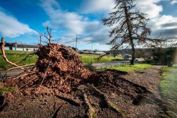 Dumfries and Galloway Council leader hails 'remarkable response' to Storm Eowyn