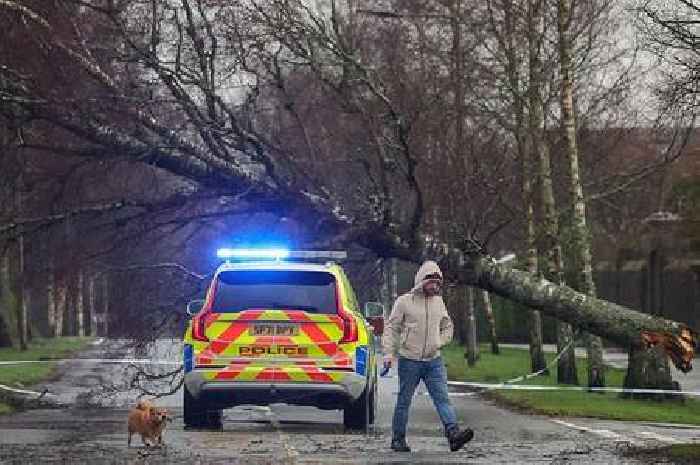 A look back on Storm Éowyn as Scotland braces for another bout of heavy snow and -8C freeze