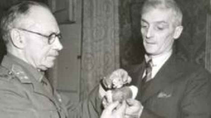 Bravery medal awarded to pigeon sold for £30k