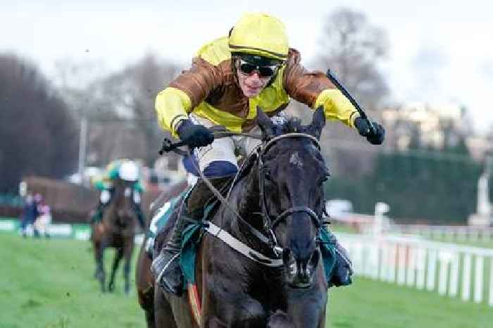 Galopin gallops to Irish Gold Cup glory yet again