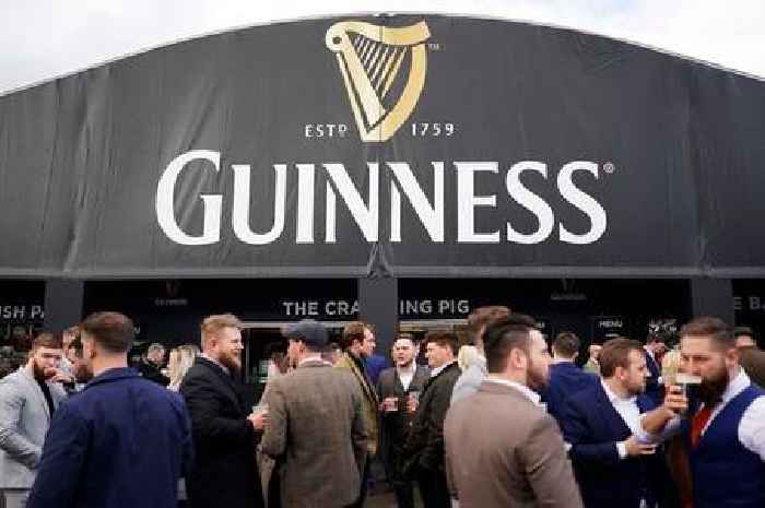 Will there be enough Guinness at Cheltenham Festival 2025?