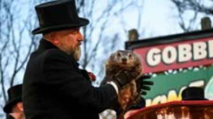 It's Groundhog Day: Famous rodent 'predicts' six more weeks of winter in US