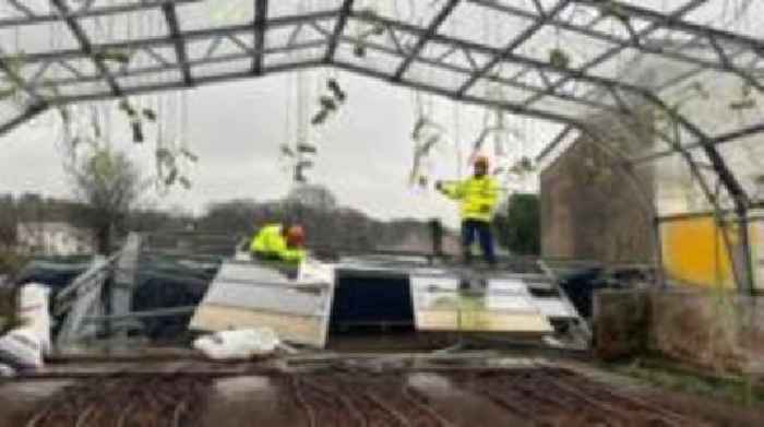 Charity 'delighted' by support after storm damage