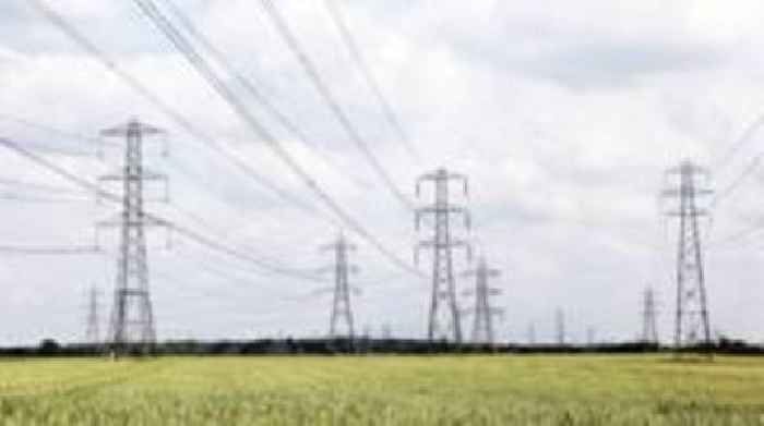 Council urges watchdog to scrap pylon plans