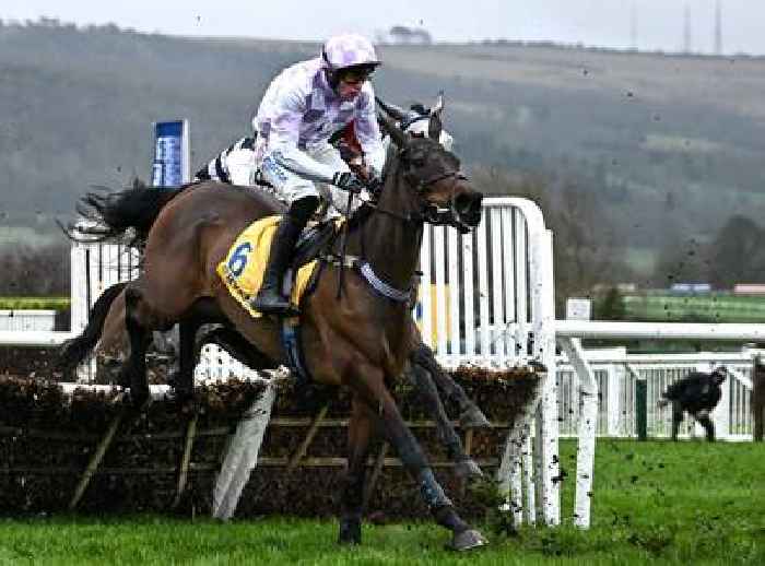 Ace has Golden chance to make the Champion Hurdle frame