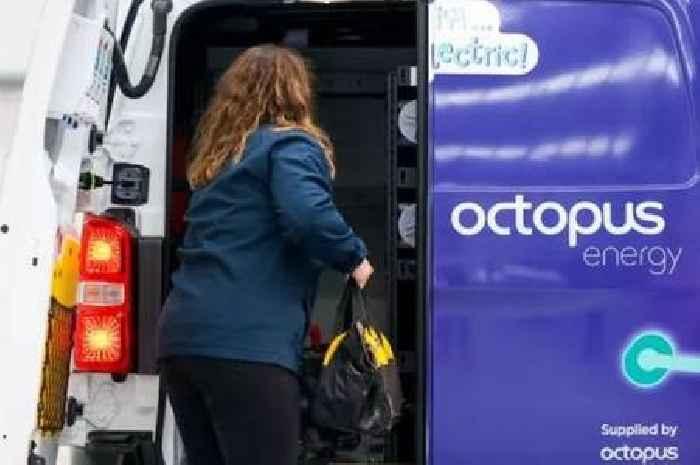 Octopus warns 600,000 customers risk having energy 'cut off'