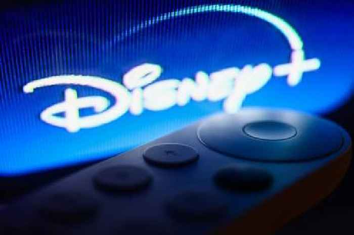Disney adds 3 new stars to season 2 of 'undeniably endearing' series