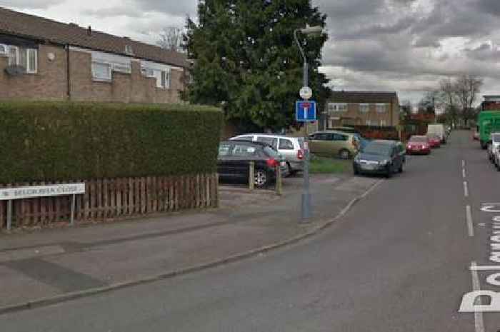 Woman 'pushed into car and driven away' report during late-night 'disturbance'