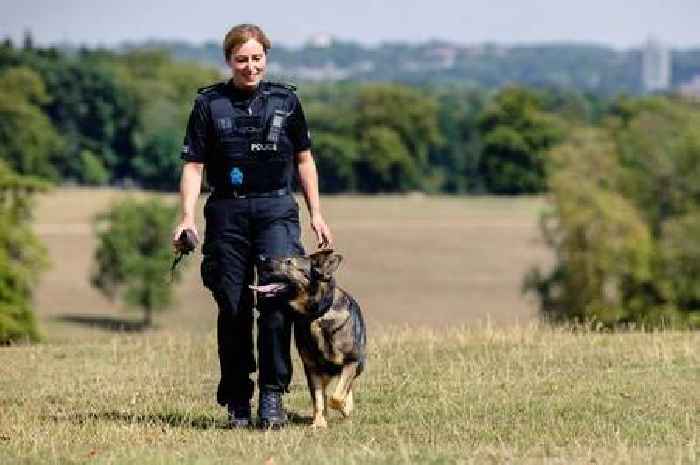 Former police dog handler condemns move to put down PD Zara over £12k vet bill